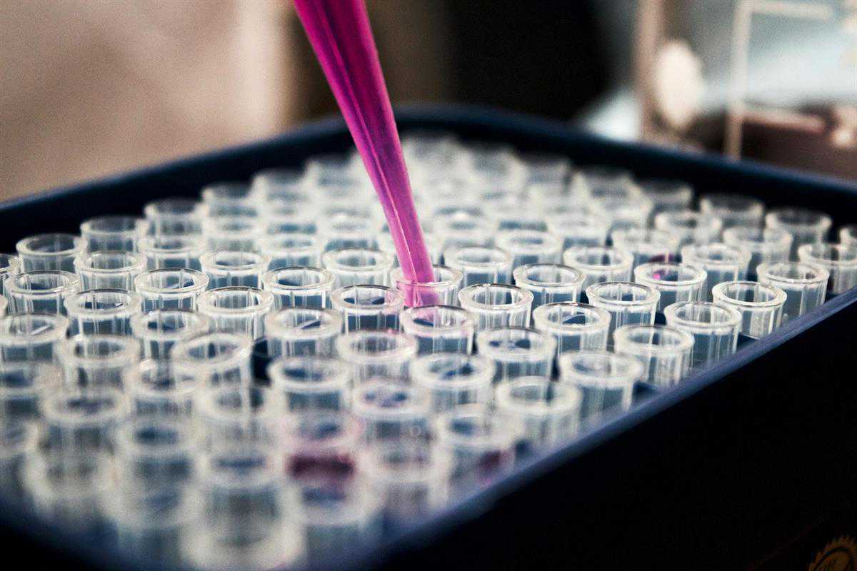 guides laboratory research