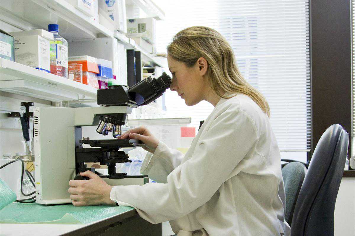 biomedical laboratory research